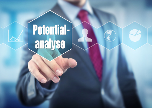 potential-analysen